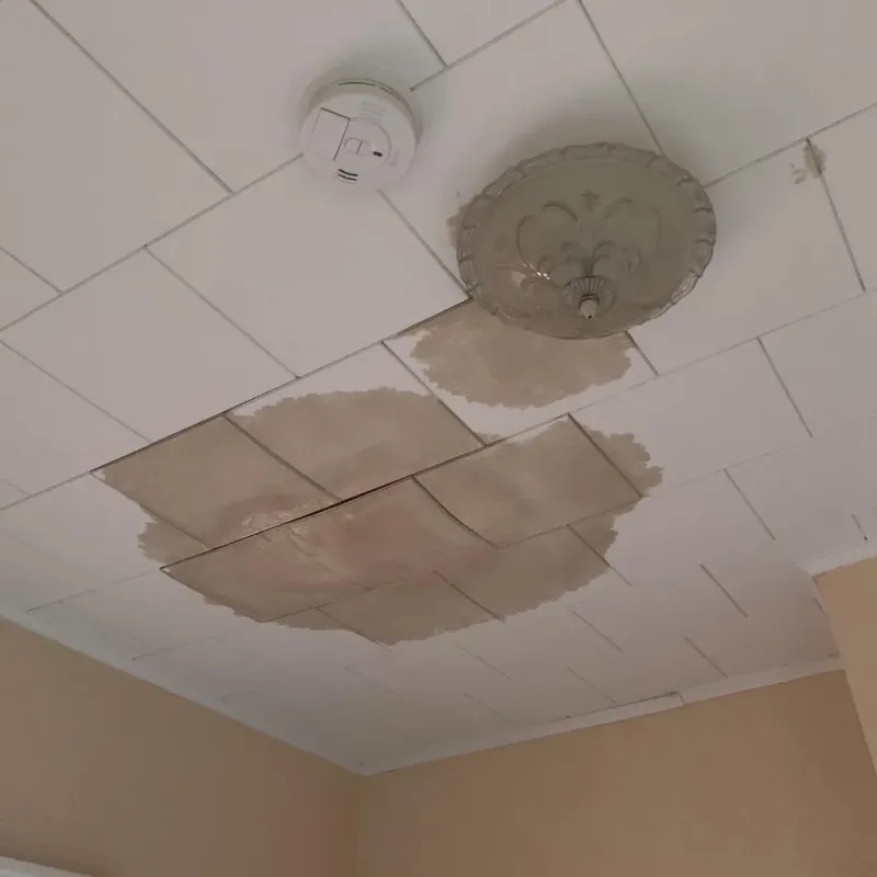 Ceiling Water Damage Repair in Ramsey County, ND