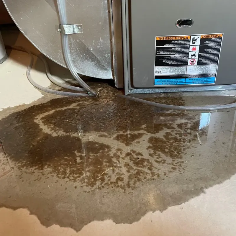 Pipe Burst and Leak Restoration in Ramsey County, ND