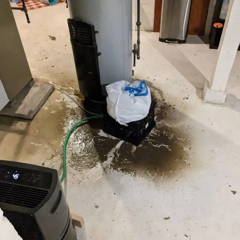 Sewage Backup Cleanup Service in Ramsey County, ND